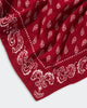 The Wild Rag Dreieckstuch in Ruby/Cream